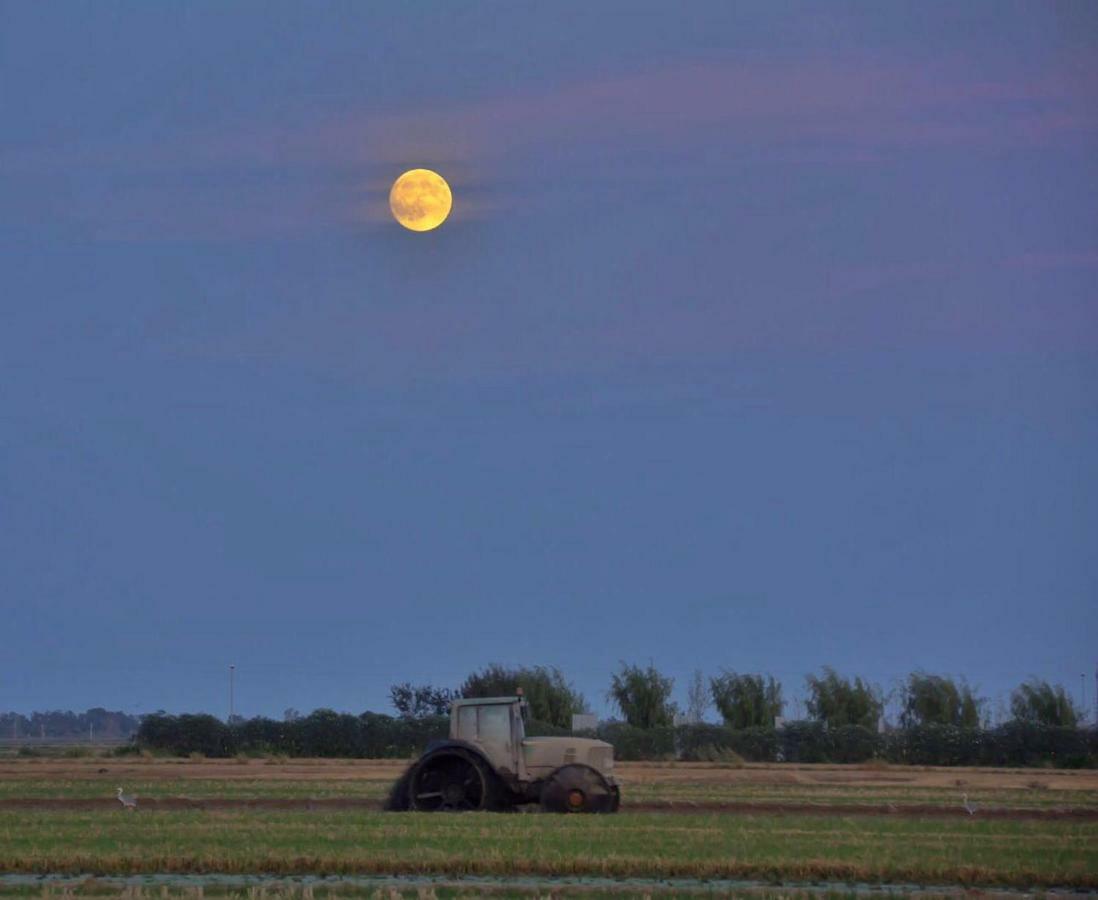 L' Espiga - Casa Rural Deltebre Eksteriør billede
